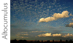 Altocumulus